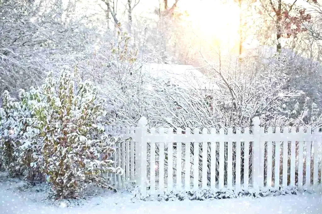 winter fencing