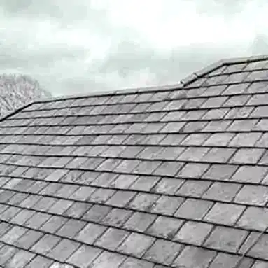 Evo Roofing